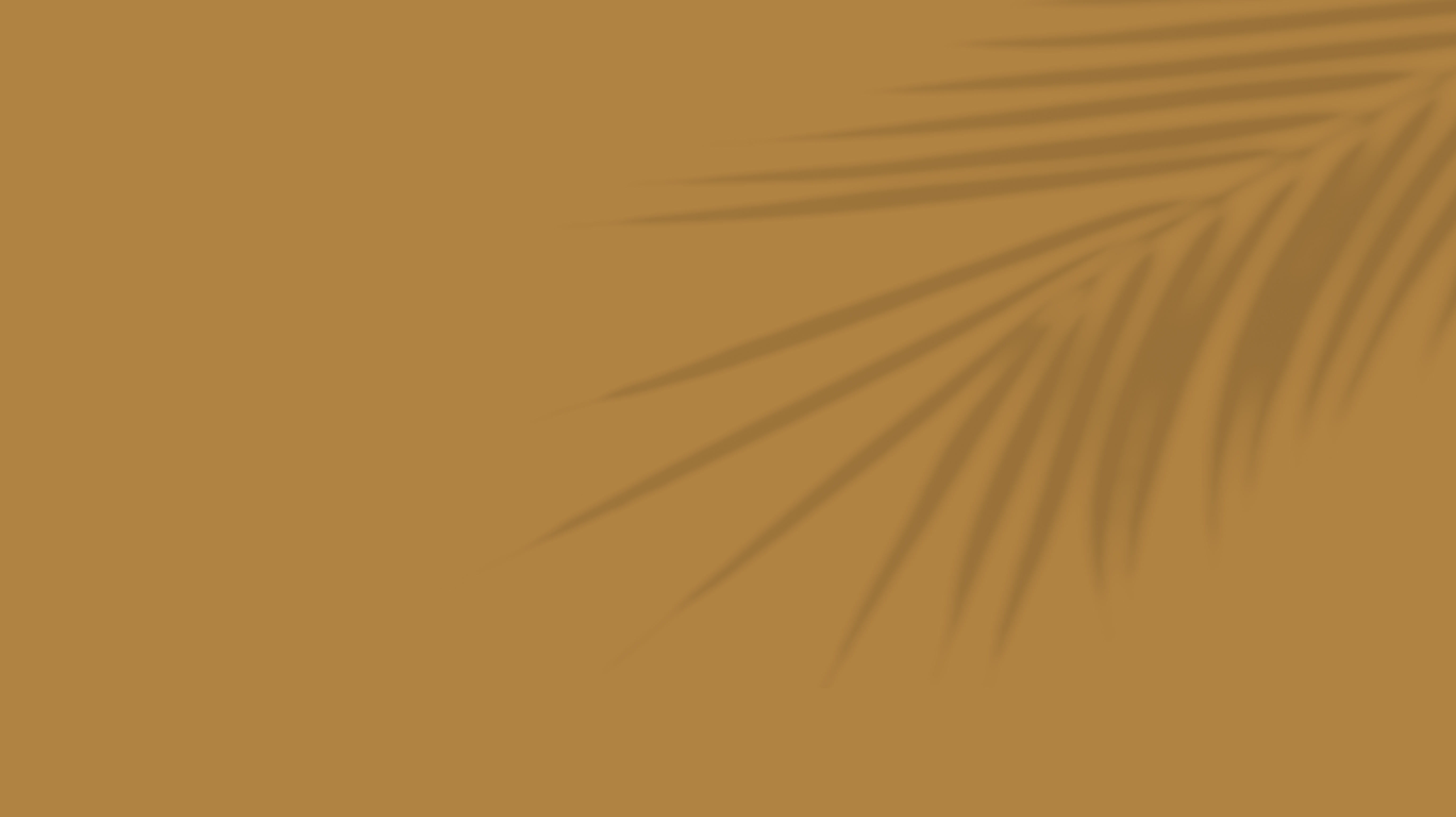 TERROU-BI SALY- decoration